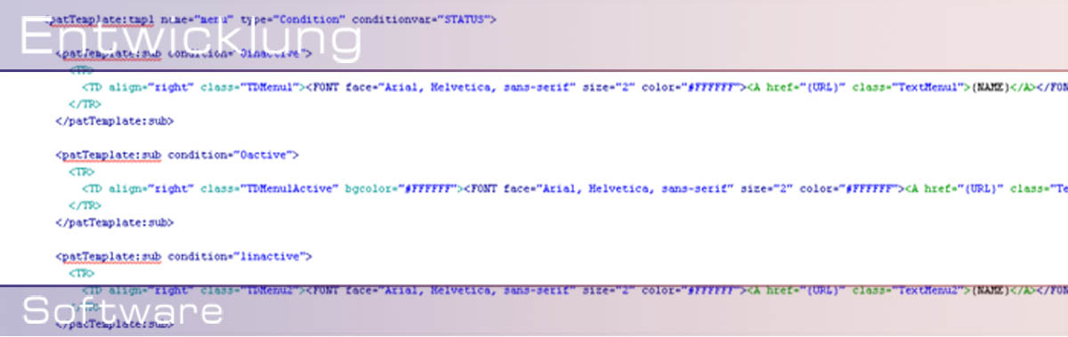 Bild zu Software-Entwicklung von ELOTEC